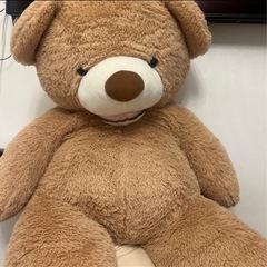 大至急🌟コストコくまさん🐻無料💰の画像