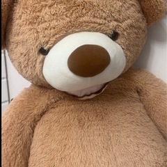 大至急🌟コストコくまさん🐻無料💰の画像