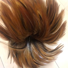 美品 毛ばたき 意匠登録出願済 司堂の画像