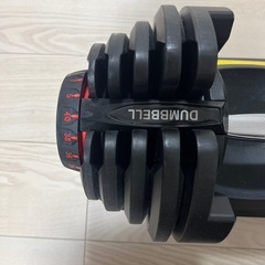 可変式ダンベル40kg の画像