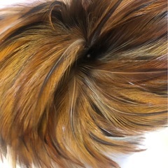 美品 毛ばたき 意匠登録出願済 司堂の画像