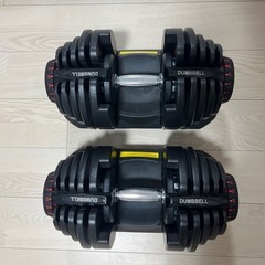 可変式ダンベル40kg の画像