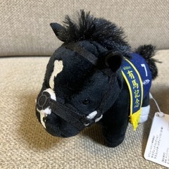 ゴールドアクター、エイシンヒカリ号‼️の画像