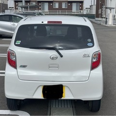 中古車の画像