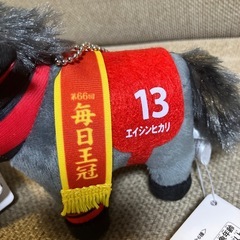 ゴールドアクター、エイシンヒカリ号‼️の画像