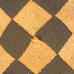 陶器市購入 笠間焼 作家品の画像