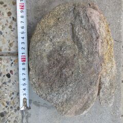 南極の石の画像