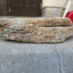 南極の石の画像