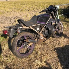 スズキ　ウルフ50 WOLF  書類付レストアベース車の画像