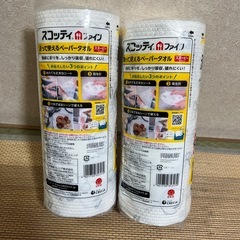 ［アミューズメント商品］スヌーピ洗って使えるペーパータオル2個 受け渡し決定中の画像