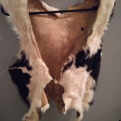 牛の毛皮 2　敷物　ベスト　チョッキの画像