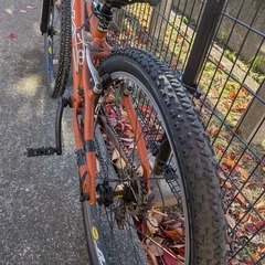 Konaマウンテンバイクの画像