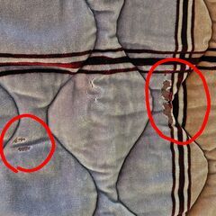 こたつ敷布団（クリーニング済み）の画像