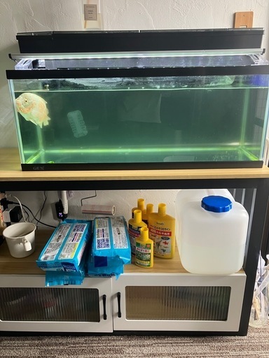 水槽90
センチとアルビノオスカーと台など一式