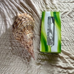 インテリア 貝殻 巻貝 オブジェの画像