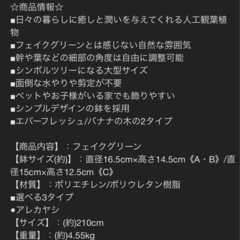 フェイクグリーン　アレカヤシの画像