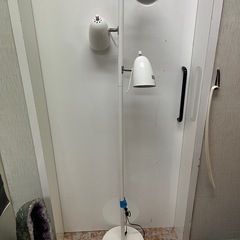 スタンドライト 間接照明
の画像