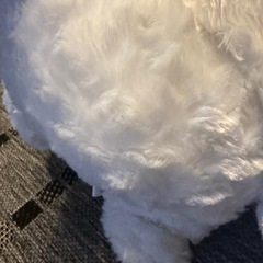 サンリオシナモンロールビックぬいぐるみ美品の画像