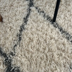 カーペットの画像