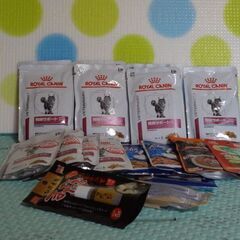 キャットフード、ドライ＆パウチ等の画像