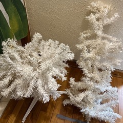 クリスマスツリーの画像