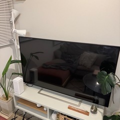 ジャンクテレビ 55インチ　の画像