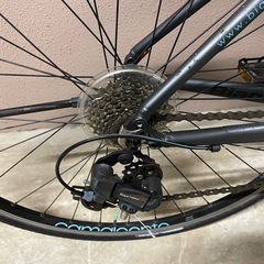 bianchiビアンキ c-sports サイズ43の画像