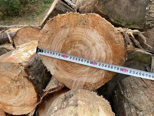 薪 直径30~40cm 約2~3トン 