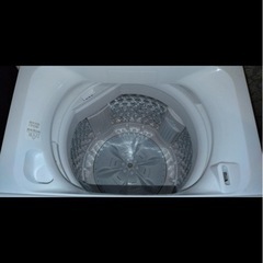 東芝　洗濯機　2024年式　の画像