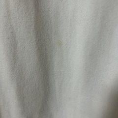 RODEO CROWNSトレーナー(フリーサイズ)の画像