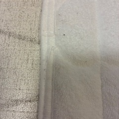 プッパプーポ 汗取り ベビー 敷きパッドの画像