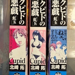 コンビニコミック「クピドの悪戯」3巻セットの画像