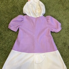 Disney デイジー着ぐるみの画像