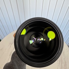 【パート①/おまけ多数】FE 200-600mm F5.6-6.3 G OSSの画像