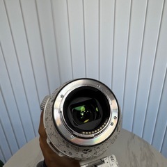 【パート①/おまけ多数】FE 200-600mm F5.6-6.3 G OSSの画像