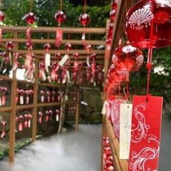 ⭐︎ママ友⭐︎