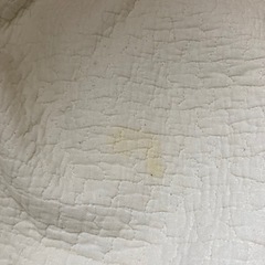 クーファンの画像