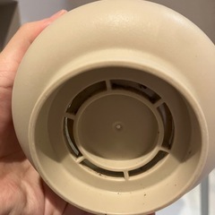 観葉植物　鉢の画像