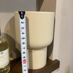 観葉植物　鉢の画像