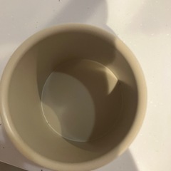 観葉植物　鉢の画像