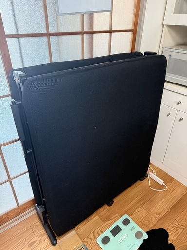 アイリスオーヤマ 折りたたみベッド OTB-KRR ブラック (花ちゃん) 北