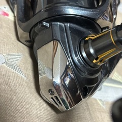 SHIMANO BB-X DESPINA C3000D TYPE-Gの画像