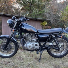 実働！グラストラッカー250 ベース車の画像