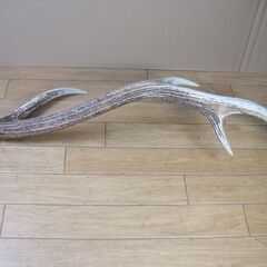 鹿の角 １本のみ　犬のおもちゃ ハンドメイドアクセサリーの素材 ランタン掛けなどアウトドア用品素材に　シカのツノの画像