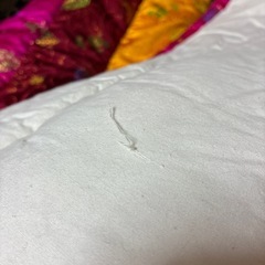 かぶり布団
の画像