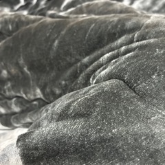 こたつ布団の画像