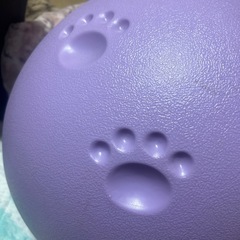 新品　未使用　楕円型　ペットハウスの画像