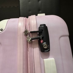 キャリーバッグの画像