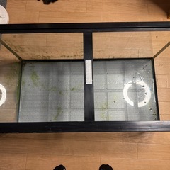 水槽９０センチの画像