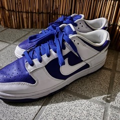 NIKE   ダンク スニーカー ペイズリー2足 ウィメンズ28.5cmの画像